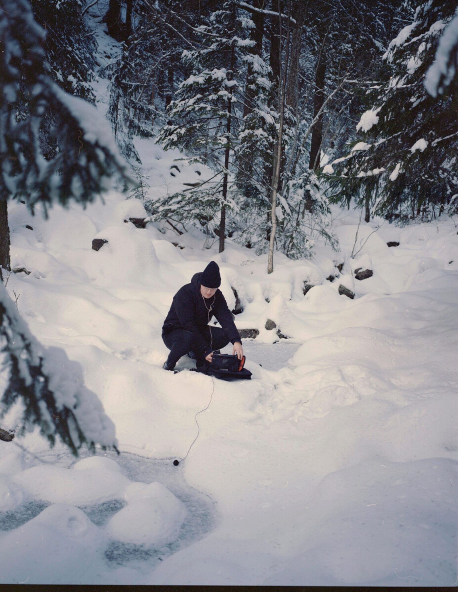 Recording in the forest